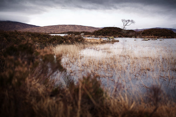 Rannoch Moor #3, Scotland