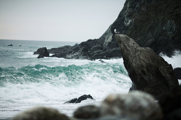 Big Sur Waves, California