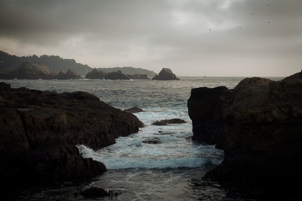 Point Lobos at Dusk, California