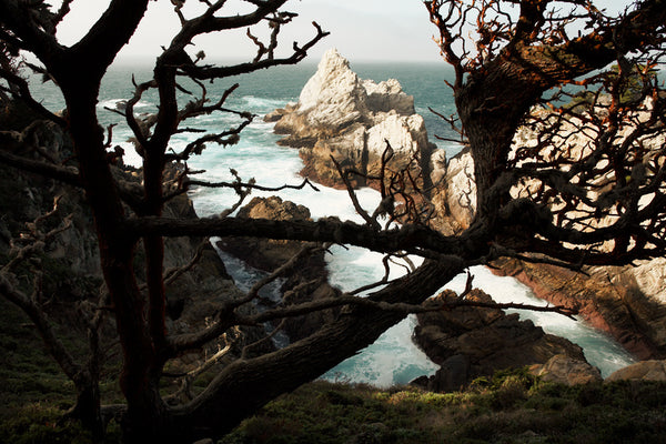 Point Lobos, California